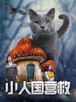 91青青草视频在线观看